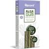 Record - Snack Dentali per Cani Alga Gum con Alga Laminaria e Spirulina, M,7 stick. Masticativi con Azione Antiplacca, Antitartaro e Contro l'Alitosi. Ricchi di Omega 3-6, Naturali e Gommosi