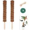 Bamworld 2 Pezzi Palo di Muschio per Piante, 42cm, Supporto per Monstera e Piante d'Appartamento con Totem e Picchetti in Fibra di Cocco per una Crescita Verticale