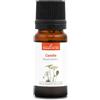 La Compagnie des Sens CAROTA SEMI BIO - 10mL - Olio Essenziale di Qualità Premium - 100% Puro, Naturale, Garantito ChromaCert® - Chemiotipizzato & Integrale
