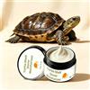 Mikiuly Balsamo Idratante per Tartarughe, per la Cura dei Armati, 30g Crema Idratante Sicura Rettili Terrestri, Idratante, Balsamo per la Pelle Secca delle Tartarughe, con Formula Delicata