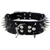 Izefia Collari in Pelle Imbottiti di Lusso con Borchie Appuntite e Appuntite per Cani di Taglia Media Grande Larghezza 5 cm Collana Anti Mordere (XS,Nero-Ag)