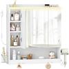 HEXCELEN Specchio Bagno Contenitore con illuminazione a LED, Mobiletto a Specchio porta Asciugacapelli e Ganci, Ripiani Regolabili, Bianco, 15 x 70 x 78,8 cm