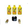 KIT TAGLIANDO COMPLETO YAMAHA T-MAX 530
