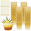 KOOSREEL Tazze Bicchieri Da Dessert, 50 Pezzi 60ml/2oz Gold Mini Plastica Coppette Da Dessert con Cucchiai Ciotoline per Riutilizzabili Tazze da dessert per Budini, Mousse,Compleanni,Matrimoni