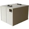 Fral FDK100 - Deumidificatore professionale compatto