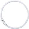 Osram - Lampada fluorescente a forma di anello FC 55W/830 2GX13 Lumilux T5, luce bianca calda