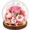 Comius Sharp Regalo Rosa Stabilizzato Vera in Vetro - Rosa Eterna per Donna e Mamma, Idea per Compleanno, Moglie, Natale, San Valentino, Festa Della Mamma