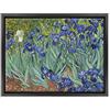 ConKrea - Quadro su Tela Canvas INTELAIATO - con Cornice - Irises - Fiori di Iris per Van Gogh - 30x40cm - Stile Moderno Nero - (cod.2650)