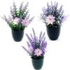 HORREX 3 Pezzi Piccola Piantine Finte di Lavanda, Pianta Finta, Piante Artificiali, Fiori Finti Decorativi, Fiori Artificiali per Cimitero, Lavanda Bouquet Artificiale per Interni Esterni