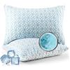 Deodar Cuscino in Memory Foam 50x70 cm, Confezione da 2, Ergonomico, Effetto Rinfrescante a Lunga Durata, Antibatterico, Morbido e Traspirante, per Dormire di Lato e sulla Schiena