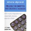 Ledizioni Pillole di diritto per creativi e musicisti. 100 e più risposte su copyright, licenze, marchi e SIAE