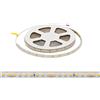 Striscia LED 24V 10W/m Alta Efficienza Professionale - IP67 - 5 metri