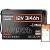 Humsienk Batterie Litio 12V 300Ah(314Ah) LifePO4 con Bluetooth, 4019Wh, BMS 200A, Protezione a Bassa Temperatura, 15000 Cicli,10 Anni Di Vita Utile per Camper, Barca, Sistema Solare, Off-Grid