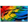 Philips 58HFL6214U/12 TV 147,3 cm (58) 4K Ultra HD Wi-Fi Antracite 400 cd/m² GARANZIA ITALIA