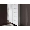 Dmora - Armadio Portascarpe Washington a 5 Ante a Ribalta, Scarpiera Alta da Ingresso Moderna, 70x17h180 cm, Bianco Lucido