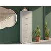 Dmora - Scarpiera Surfinia, Mobile multiuso da ingresso con 5 ante a ribalta, Armadietto portascarpe a doppia profondità, 100% Made in Italy, 67x28h183 cm, Bianco e Cemento
