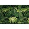 MIRRORANG 120x61cm Foglie Tropicali Terrario Sfondo Vinile Rettile Habitat Sfondo Foresta pluviale Acquario Sfondo