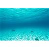 MIRRORANG 61x30cm Oceano Pavimento Acquario Sottomarino Sfondo Mare Profondo Blu Strappato Acqua Pesce Serbatoio Sfondo Mondo Subacqueo Pesce Serbatoio Sfondo