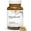 Moleqlar Longevity Regenad Capsule 60 Capsule