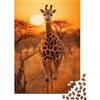 NIIBWSNWZZTWL Giraffa Africana Puzzle 1000 Pezzi Carta Adulti Tramonto Savana Gioco di Puzzle 1000 Pezzi Relax Arredo Famiglia Regalo 38x26cm/1000pcs