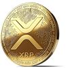 innoGadgets Medaglia XRP Fisica placcata con Oro Reale 24 carati. Vero Oggetto da Collezione con Custodia Protettiva, Capsula di Monete. Perfetto per Ogni Fan di XRP