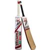 DANIAL SPORTS BEYOND FEAR DS Fighter Edition Srilankan Tape Ball Mazza