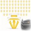 Terraxis 50 Pezzi Clip Pannello Porta compatibili con Renault ref. 7703077250, Clips Rivestimento Interno Auto, Graffe Fissaggio Portiera per Clio Megane Scenic Laguna Kangoo Master Twingo Ricambio Kit