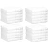 Betz 20 Lavette salvietta asciugamano per il bidet Palermo 100% cotone misure 30 x 30 cm colore bianco