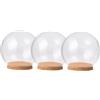 TOGEVAL Set 3 Cupole Trasparenti con Base in Sughero, Teca di Vetro per Esposizione Decorazioni Natalizie, Piccola Vetrina in Vetro per Fiori e Artigianato da Tavolo