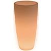 Danieli Lampada Vaso Luminoso da Giardino Cypress a LED | in Resina Anti-Ingiallimento | Luce Bianco Caldo 2700 k| LED IP67 | Made in Italy | Trasformatore IP20 da 1,1 mt | cm 43x90| kg 5,2