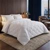 MAXIME MAISON - Piumino Matrimoniale 4 Stagioni 250x200 Composto da 2 Piumini 100gr/mq e 220gr/mq, Set Letto Leggero da 100gr, per la Mezza Stagione da 220gr, e Invernale Combinandoli da 320gr
