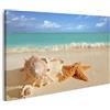 islandburner Quadro moderno Seashells Starfish sulla sabbia tropicale turchese icona caraibica viaggio vacanza estiva Stampa su tela - Quadri moderni x poltrone salotto cucina mobili ufficio casa ! FFM