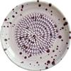 Generic Piatto grattugia in ceramica per aglio, grattugia naturale, tritatutto decorativo per zenzero, aglio, cipolla, formaggio, piatto manuale per aglio