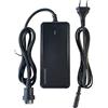 HANERIDE Caricabatterie 2 A per batterie Bosch Performance e Active Line compatibile con Haibike KTM Kalkhoff Flyer Bergamont Ghost Trek Ebike con motore Bosch
