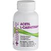 + WATT Srl ACETIL L CARNITINA+ 90CPS