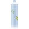 Echosline Balance Shampoo 1000 ml