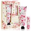Accentra Essential Botanicals Hand and Nails Cream 2 pz