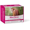 NBF LANES RIBES HORSE 30 buste da 25 ml - Manto Bello e Lucente