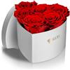 Aluisi Fiori - Cuore con 6 Rose Rosse Stabilizzate - Box Bianca - Rosa eterna per stupire nel Giorno di San Valentino o in Un Anniversario Speciale.