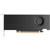 NVIDIA Scheda Video NVIDIA RTX PRO 2000 Blackwell 16GB GDDR7 Retail