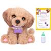 Little Live Pets My Really Real Puppy - Bailey, peluche interattivo con oltre 60 suoni e reazioni, 32,8 cm, lampeggia gli occhi, mangia e abbaia come un vero cucciolo, a partire da 4 anni