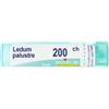 Boiron Ledum Palustre Boi* 200 Ch 1 g Monodose