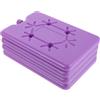 BESTOMZ 4 Pezzi Blocchi Gelo Riutilizzabili 200ml PE, Atmosfera Estiva | Formato Sottile per Borsa Termica, Compatibili Freezer, Uso Picnic e Sport, Raffreddamento Prolungato, Porpora