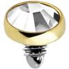 dormouse selection Terminale Dermal in Titanio G23 ASTM F136 Oro PVD con Cristallo Incastonato