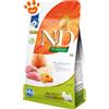 Farmina Dog N&D Pumpkin Adult Mini Cinghiale, Zucca e Mela - Sacco Da 800 Gr