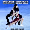 52733 Bol on Ice 2027