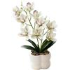 Momfin Orchidea artificiale piante in vaso, decorazione per la casa in vaso di ceramica bianca con texture realistica, fiori artificiali per casa ufficio tavolo scrivania (bianco)