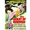 Alpha Video The Beast of Borneo (DVD) Mae Stuart John Preston Eugene Sigaloff Harry Garson