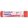 Boiron Aconitum Napellus Boi* 80 Granuli 7 Ch 4 g