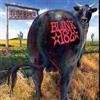 Blink-182 Dude Ranch (CD) Album